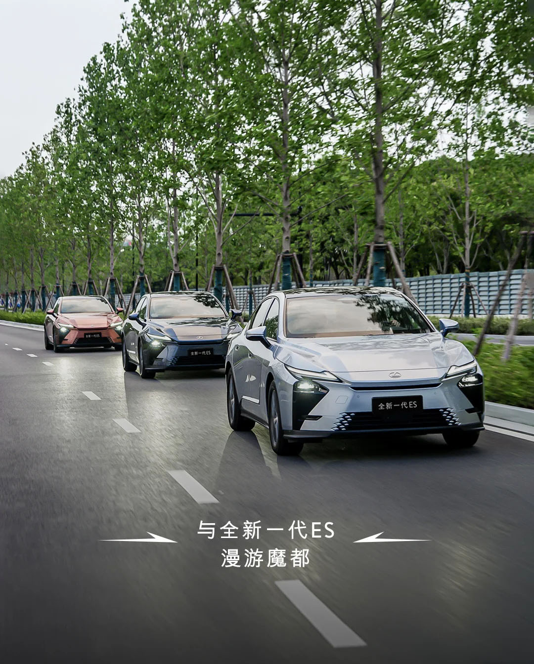 雷克萨斯中国