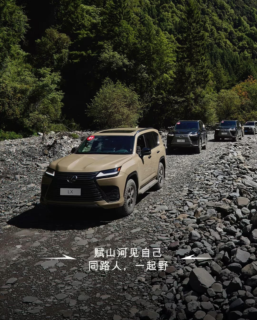 雷克萨斯中国