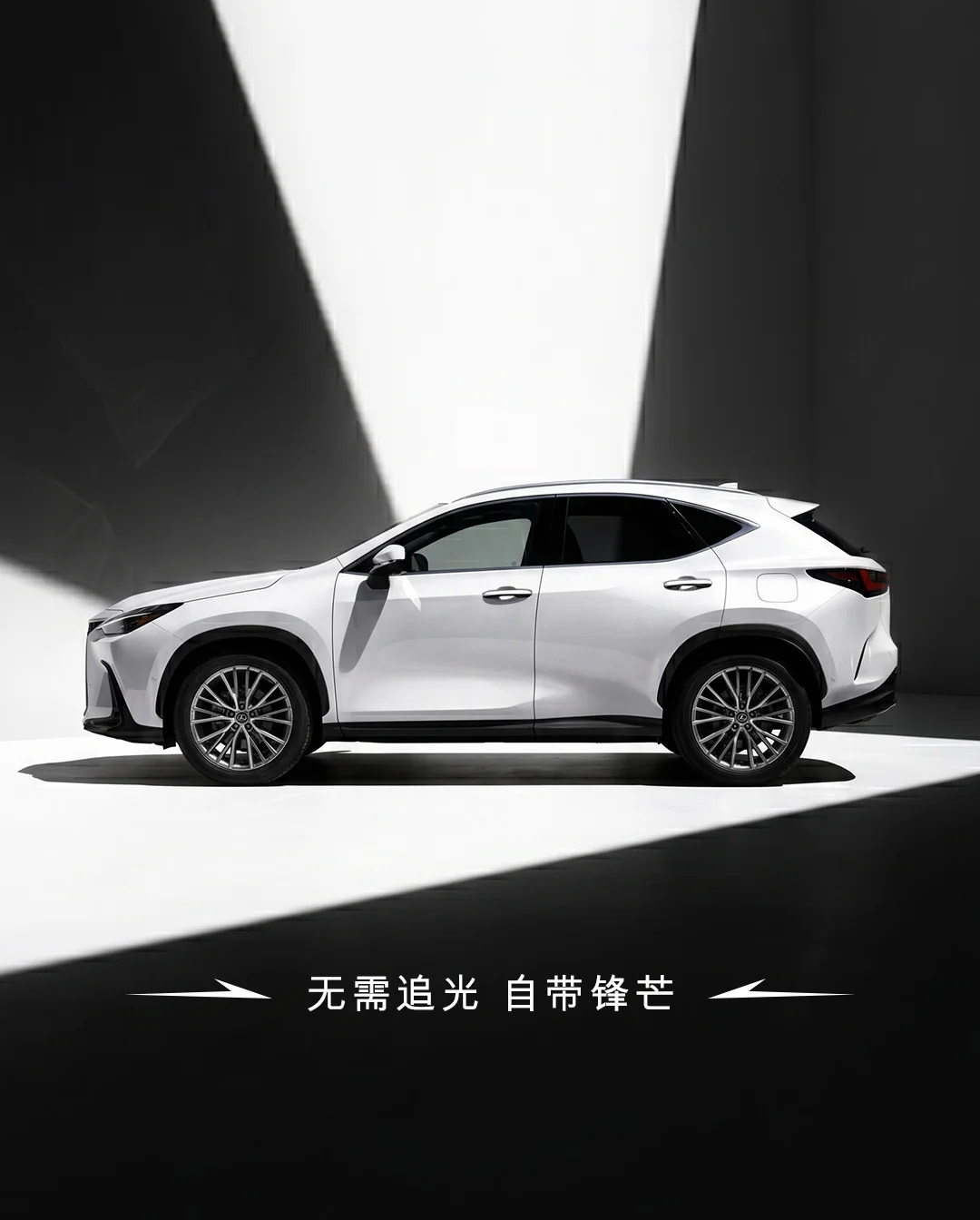 无需追光，自带锋芒