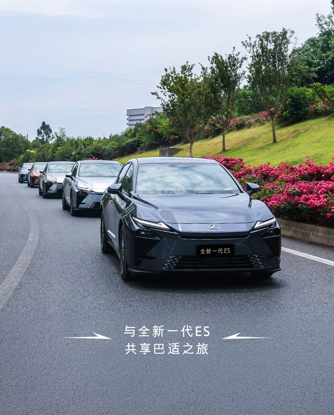 雷克萨斯中国