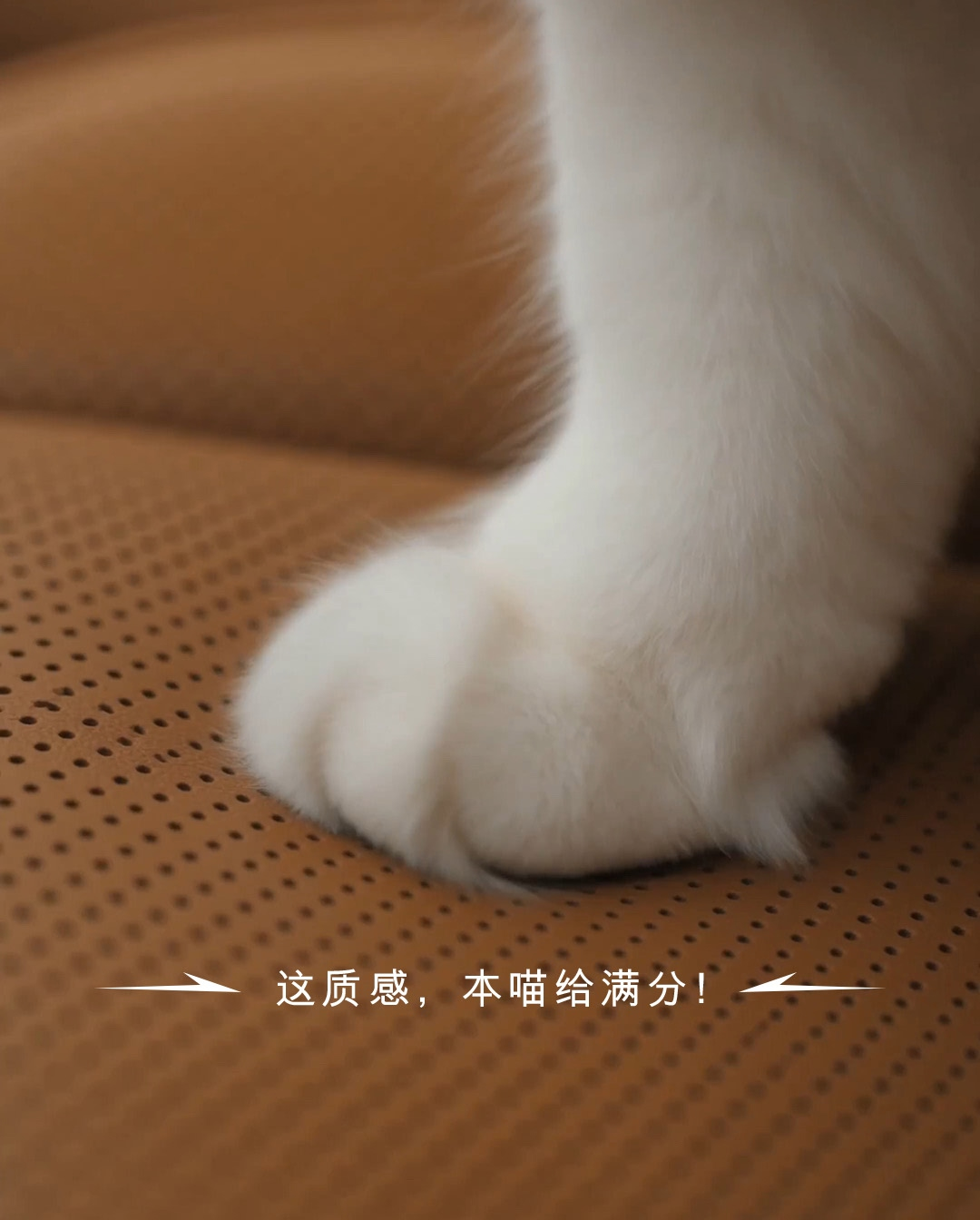 雷克萨斯中国