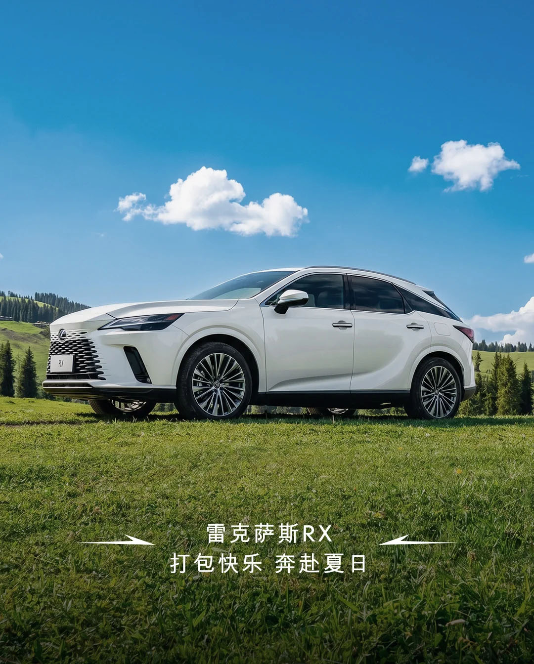 雷克萨斯RX 打包快乐 奔赴夏日