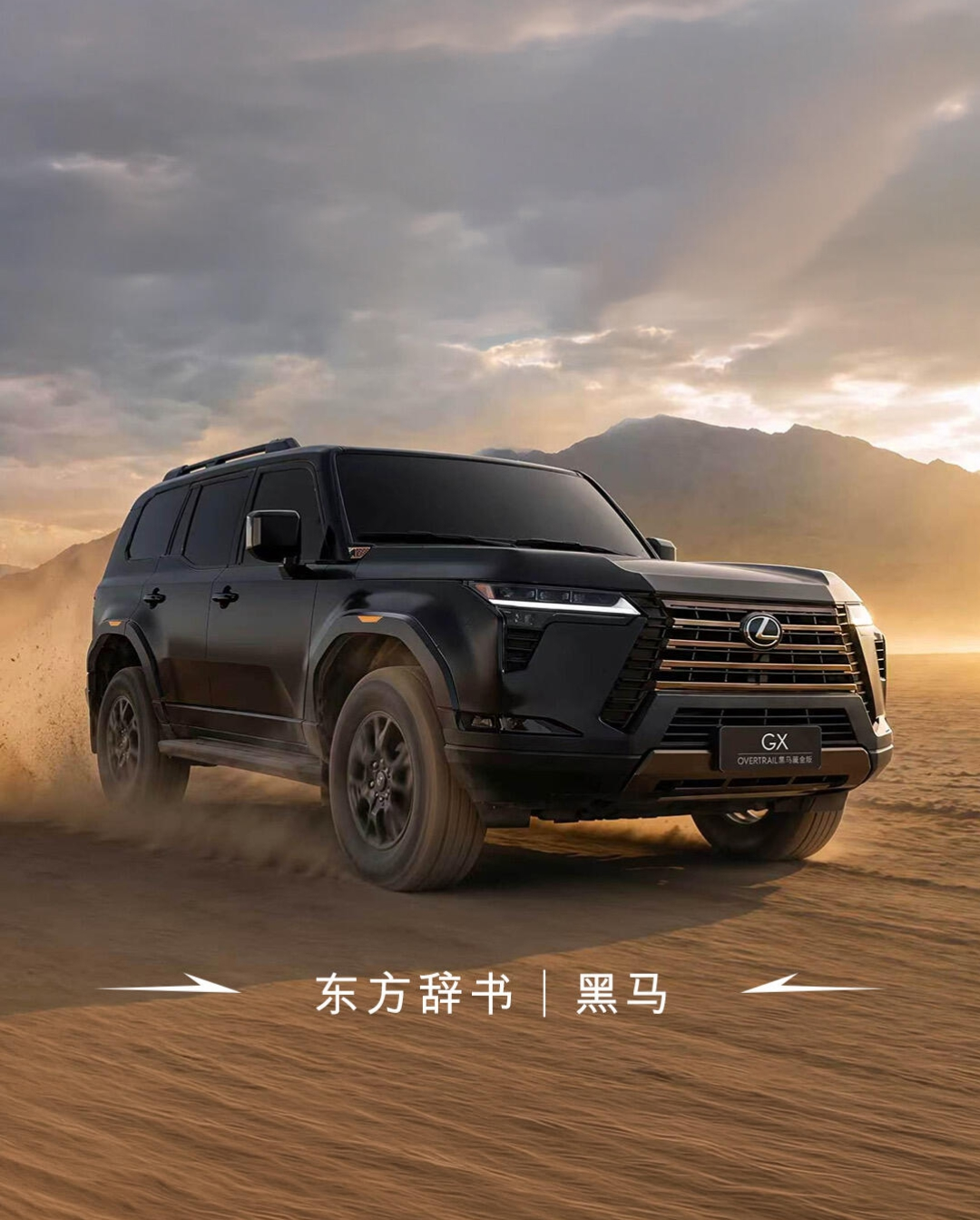 雷克萨斯中国