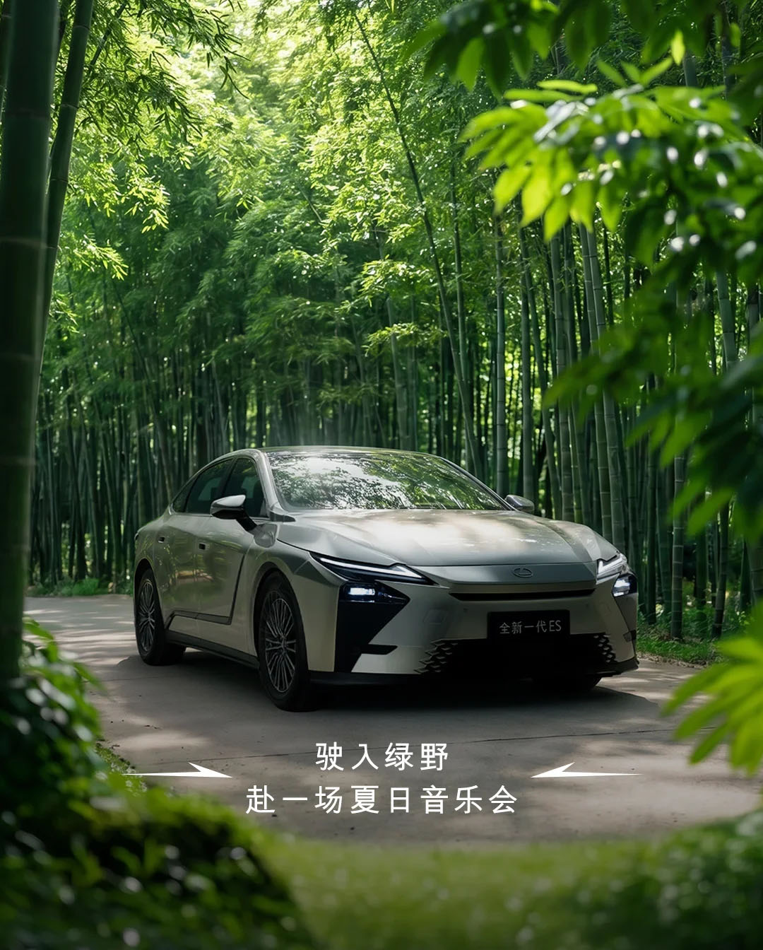驶入绿野，赴一场夏日音乐会