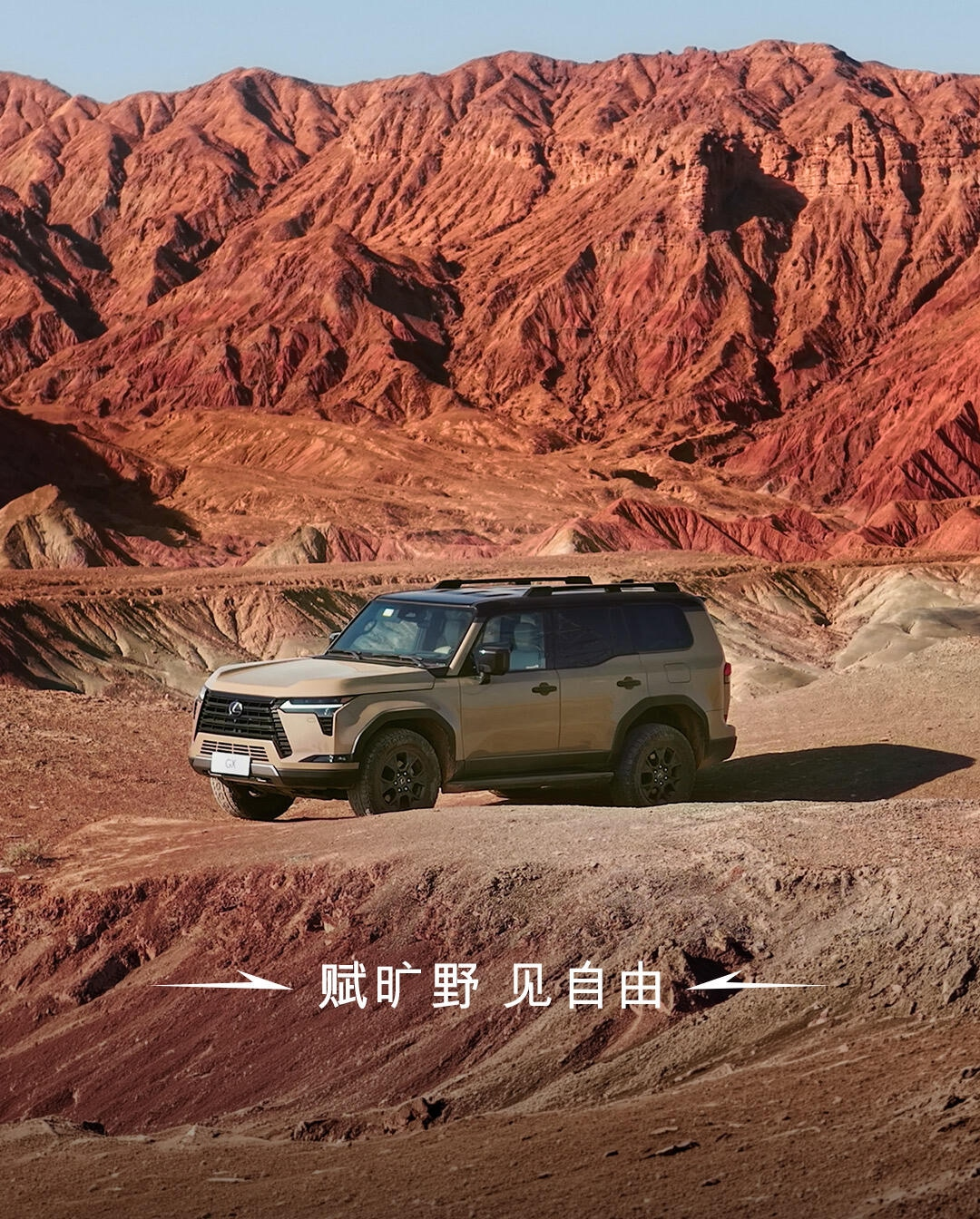 雷克萨斯中国