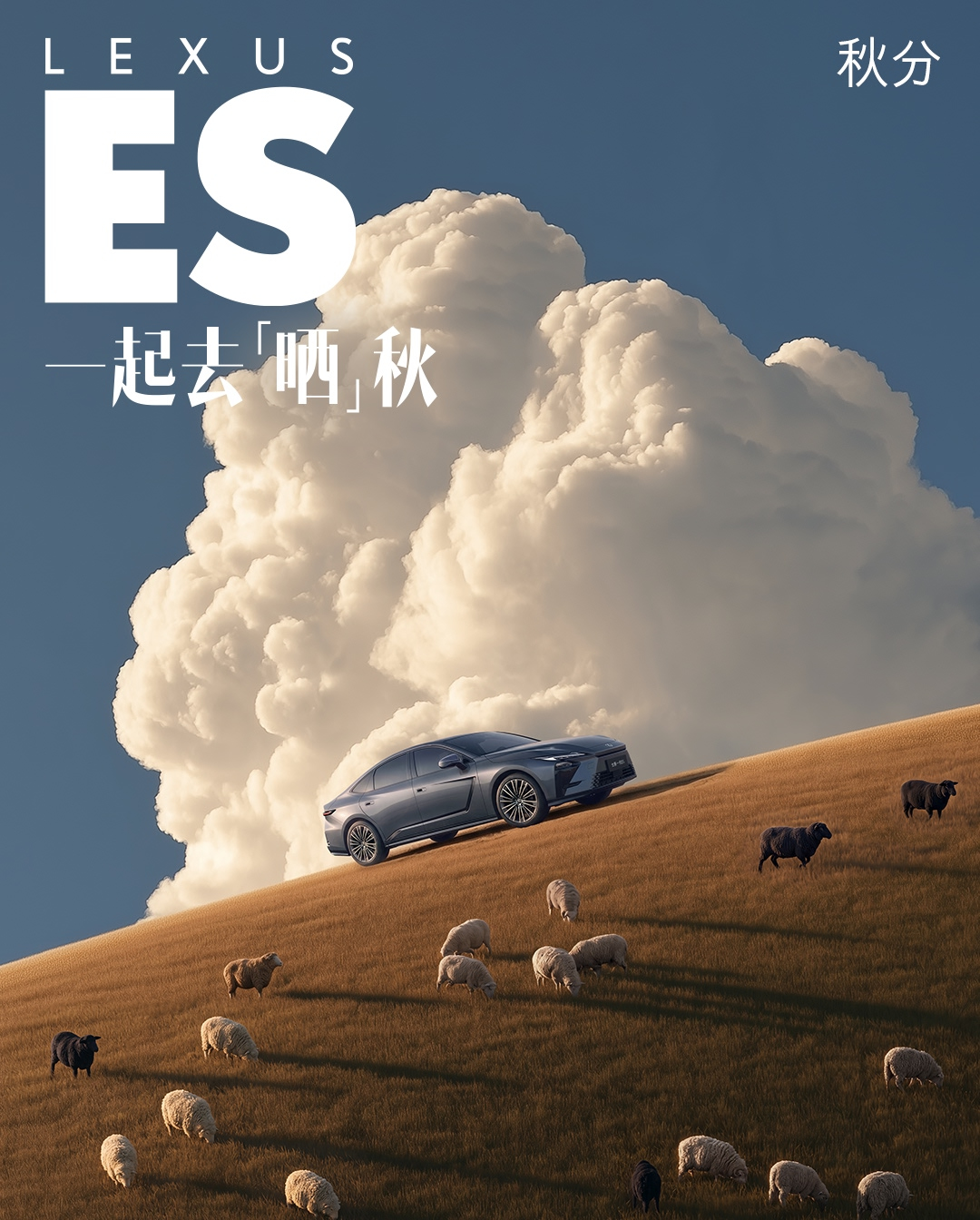 雷克萨斯中国