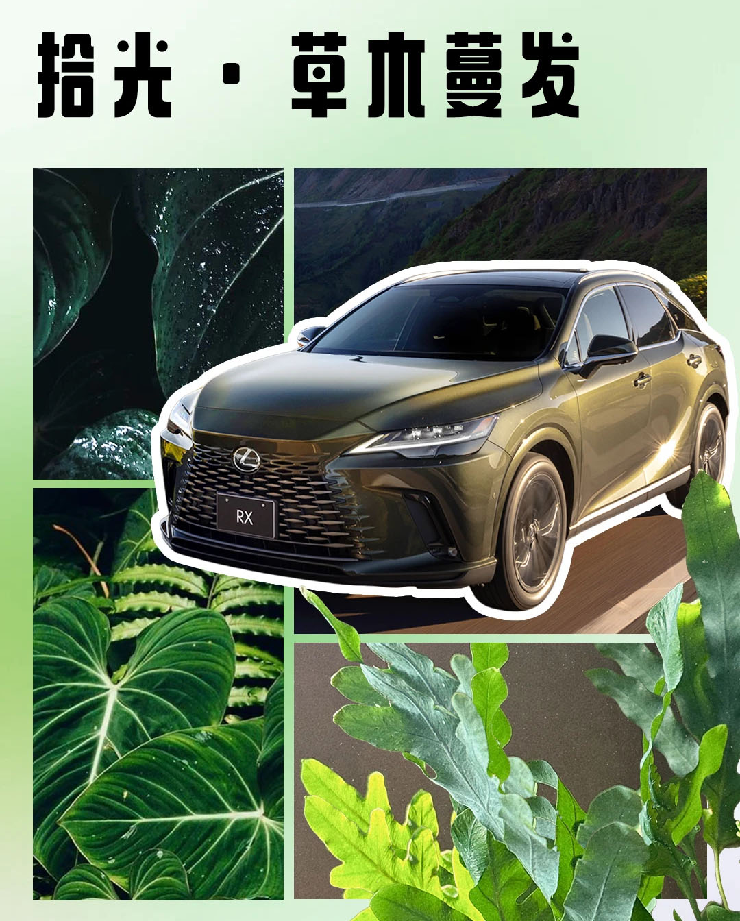 雷克萨斯中国