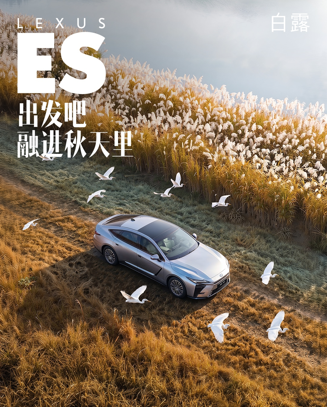 雷克萨斯中国