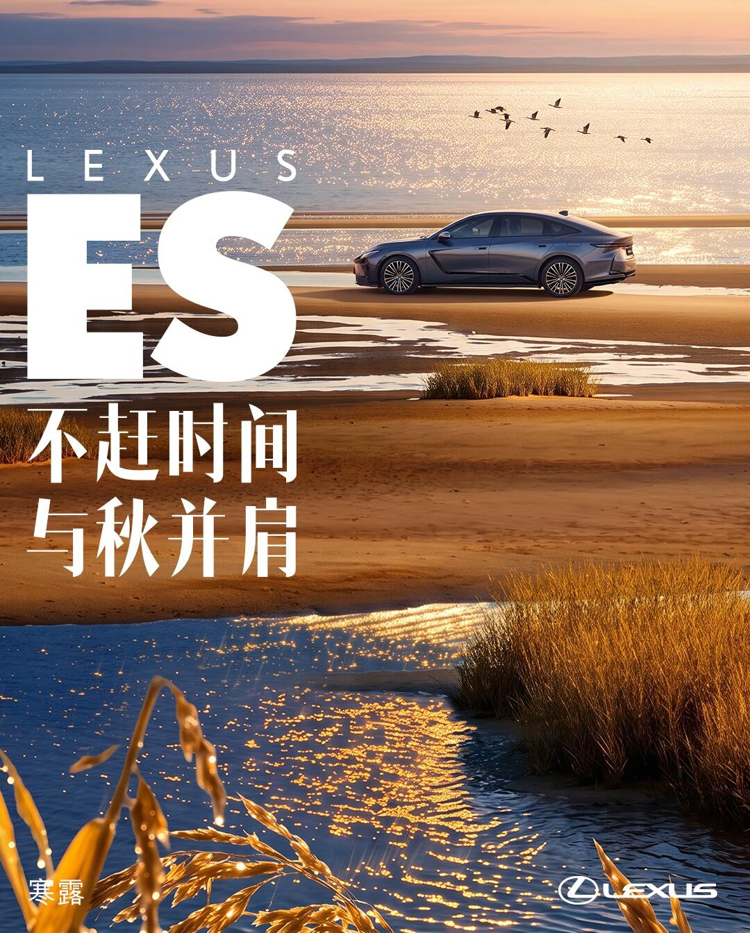 雷克萨斯中国